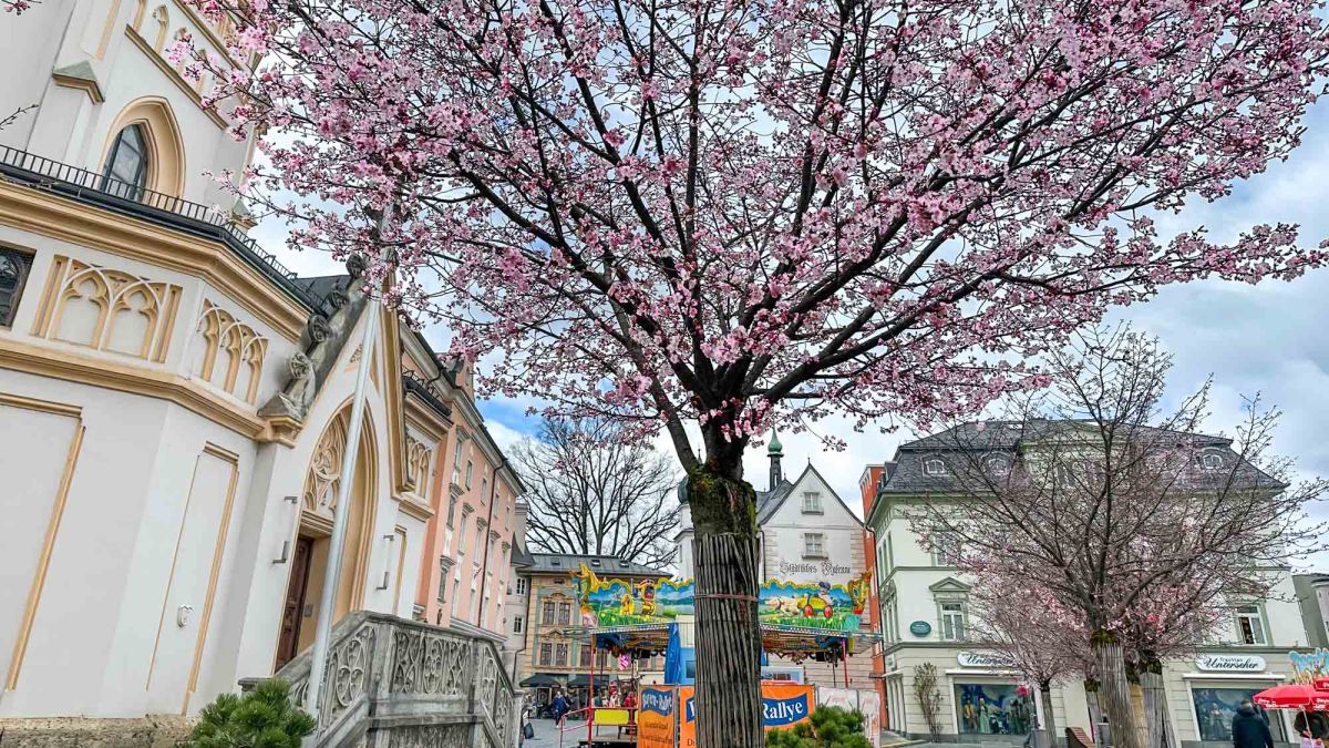Ludwigsplatz Rosenheim im Frühling