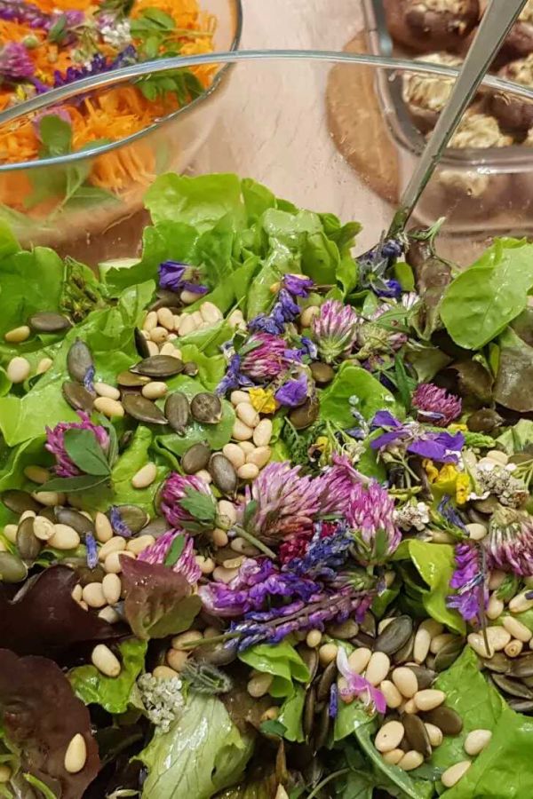 Bettina's Lieblingskräuter Kochkurs: Wilde Frühlingsküche aus dem Garten