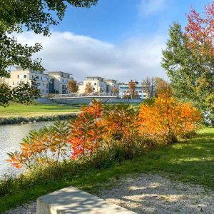 Herbst in Rosenheim 35