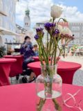 Sommersalat mit Forellenfilet 04