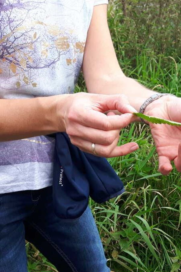 Kräuterwanderung im Auwald an Mangfall & Inn mit Verkostung