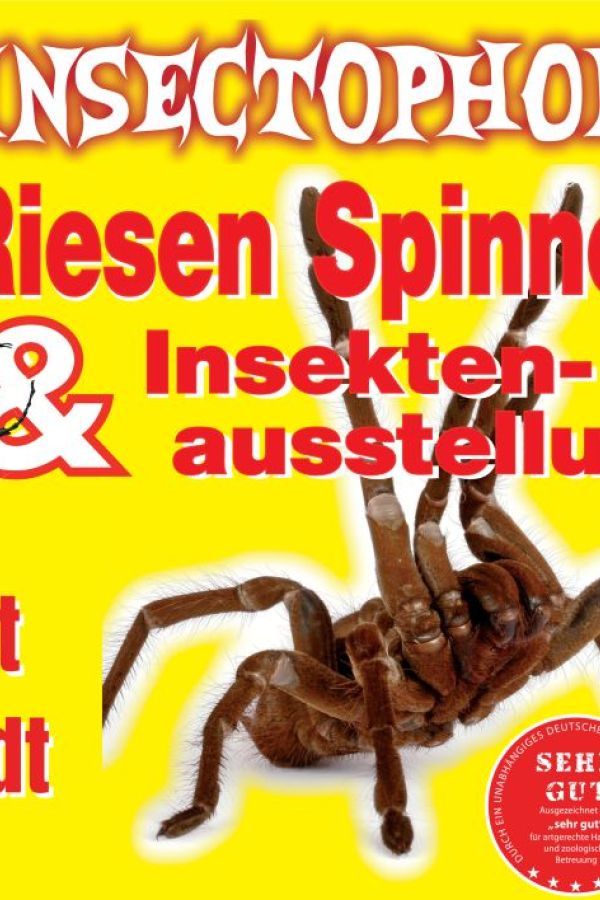 Insectophobie Riesenspinnen & Insekten Ausstellung