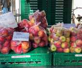 Mantelsonntag mit Markt 015