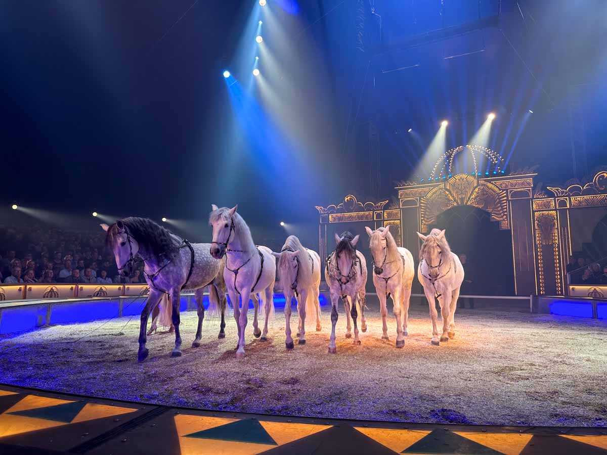 premiere-circus-krone-rosenheim-credit-stadttipps-rosenheim-22