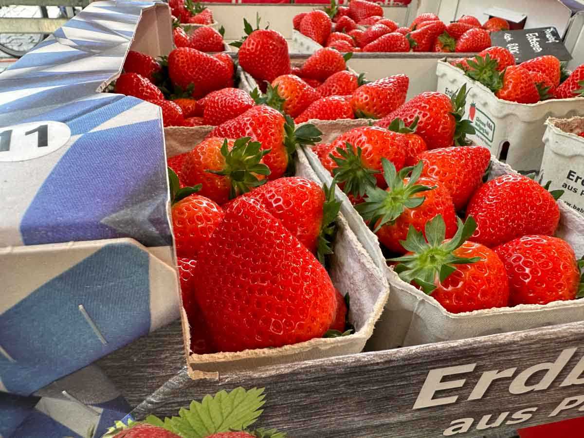 erdbeeren-gruener-markt-credit-stadttipps-rosenheim