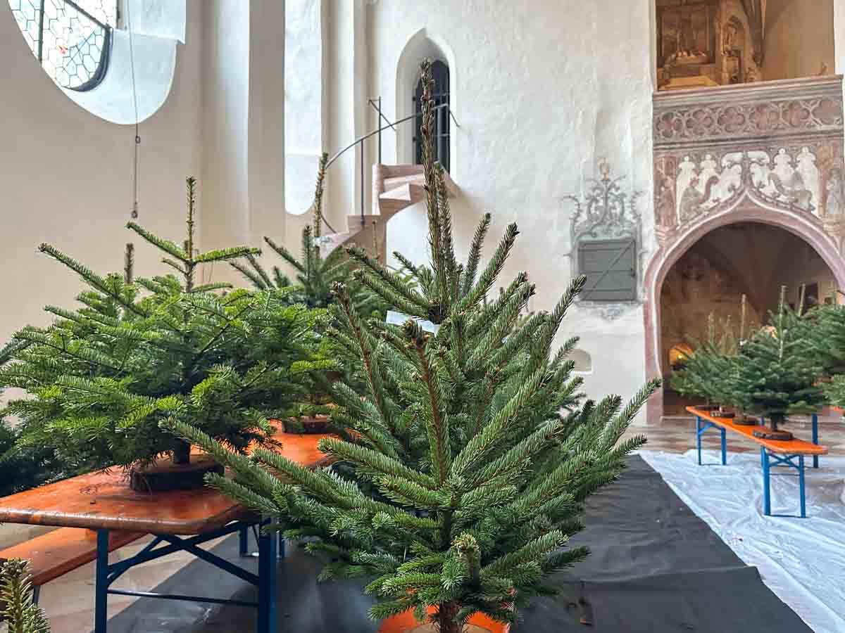 christbaumschmuecken-wirtschaftlicher-verband-credit-stadttipps-03