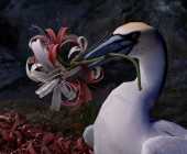 Merlin Stadler Kunst-Film-Tage im Kunstverein Rosenheim