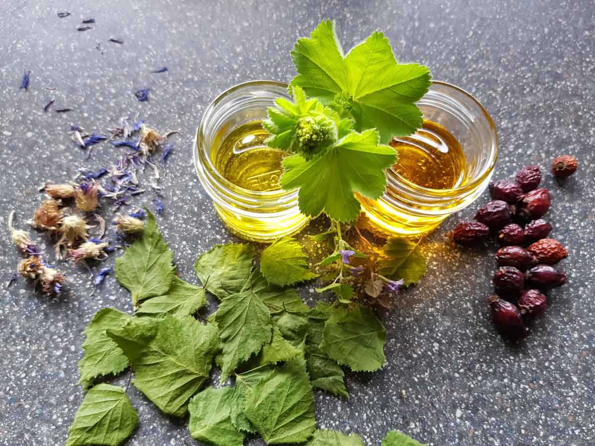 Bettina's Lieblingskräuter