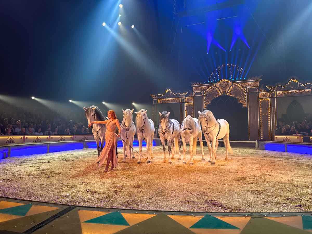 premiere-circus-krone-rosenheim-credit-stadttipps-rosenheim-21