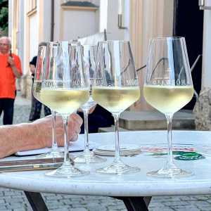 Bilder Eröffnung Rosenheimer Theaterwoche am Ölberg (Ludwigsplatz)_03