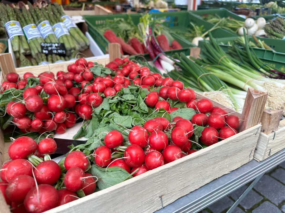 radieschen-gruener-markt-credit-stadttipps-rosenheim