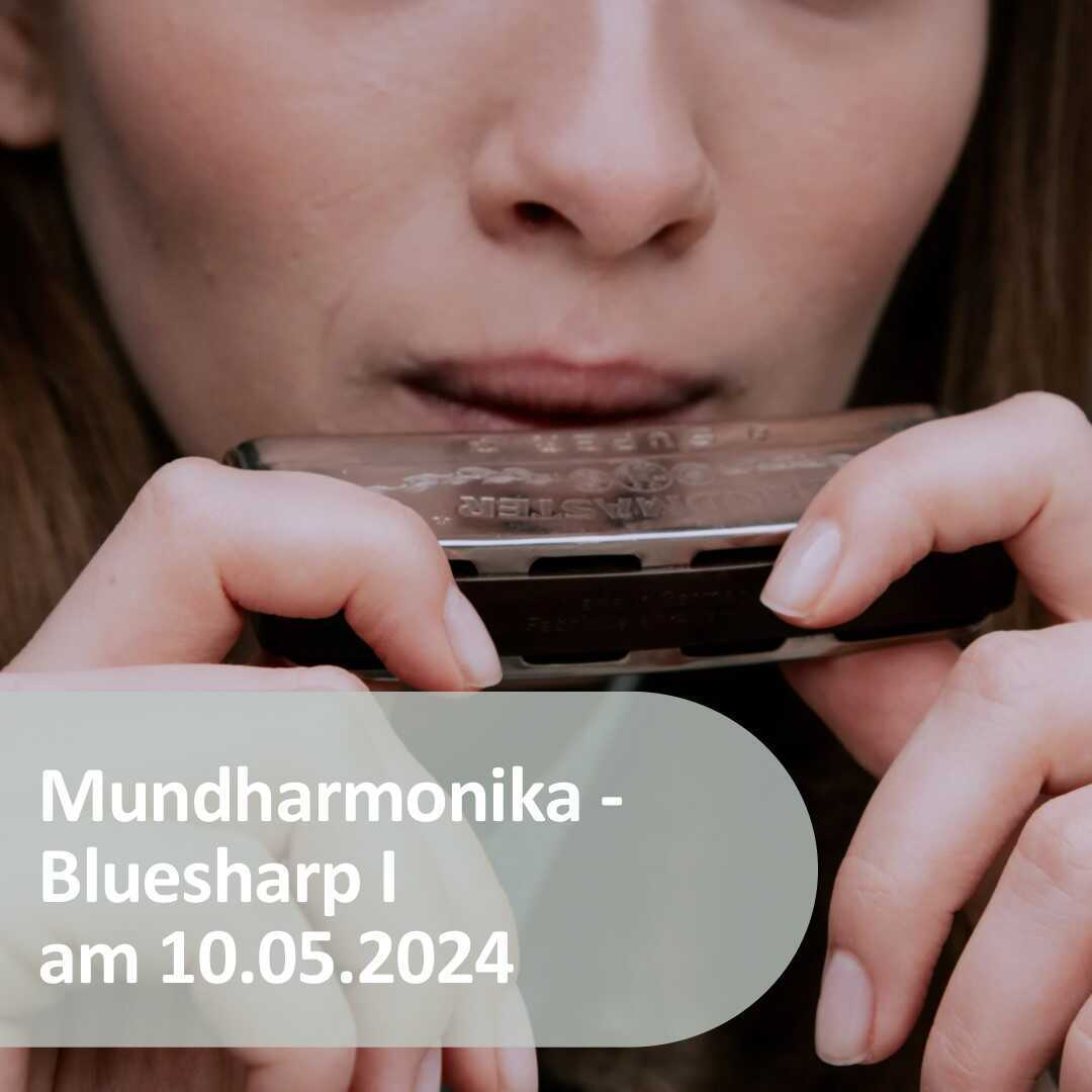 VHS Anfängerkurs Mundharmonika »Bluesharp I«