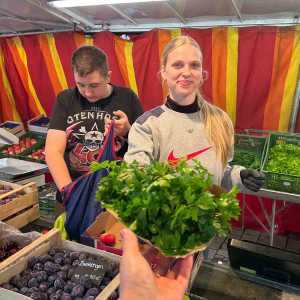 Gemüse vom Grünen Markt am Ludwigsplatz_02