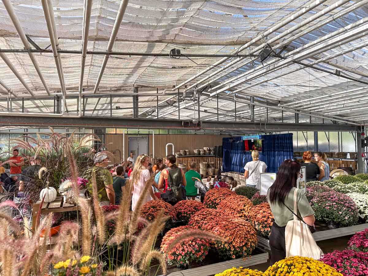 familientag-gartencenter-nickl-credit-stadttippps-14