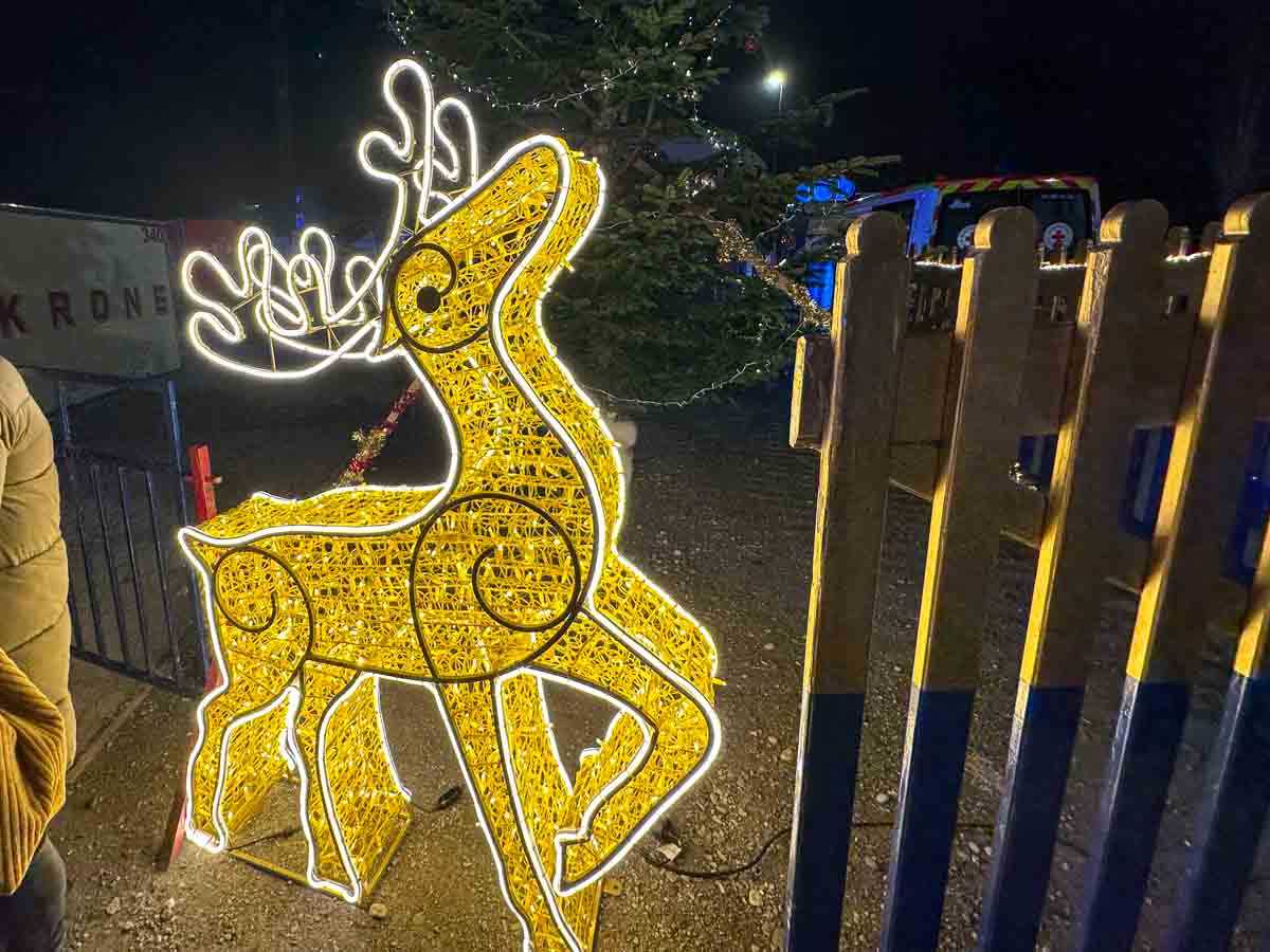 premiere-circus-krone-rosenheim-credit-stadttipps-rosenheim-02