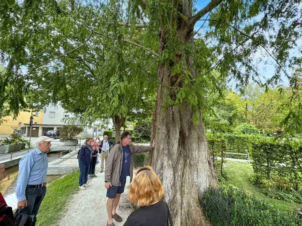 stadtoekologischer_themenweg©stadttipps_rosenheim_37