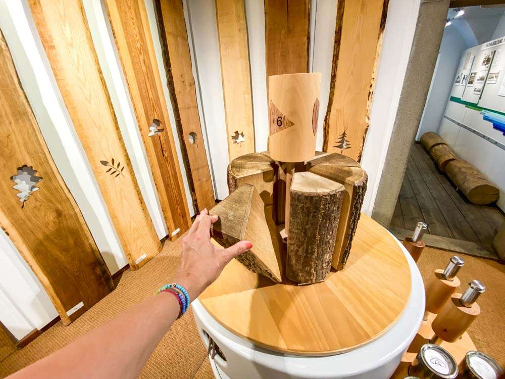 Holz erfühlen und erraten im Holztechnischen Museum Rosenheim