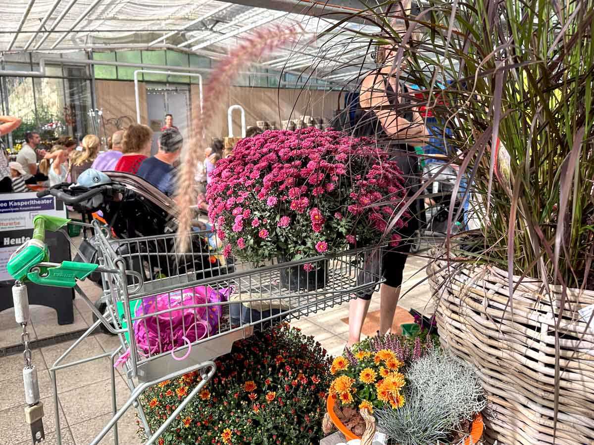 familientag-gartencenter-nickl-credit-stadttippps-15