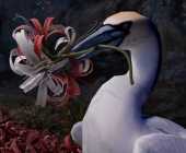 Merlin Stadler Kunst-Film-Tage im Kunstverein Rosenheim