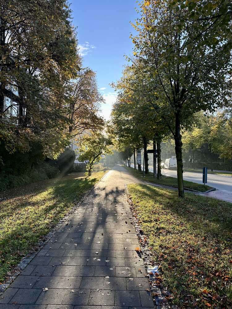 Herbstmorgen 🍁☀️ Blick in die Prinzregentenstraße Rosenheim