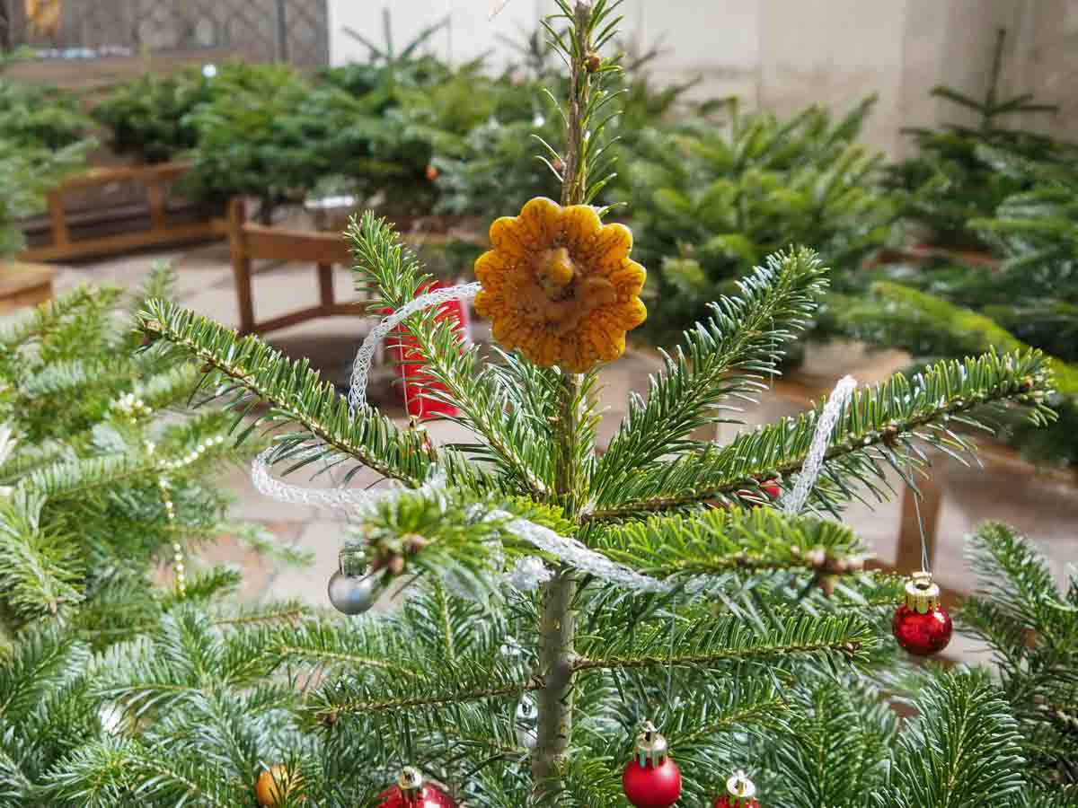 christbaumschmuecken-wirtschaftlicher-verband-credit-stadttipps-15