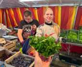 Gemüse vom Grünen Markt am Ludwigsplatz_02