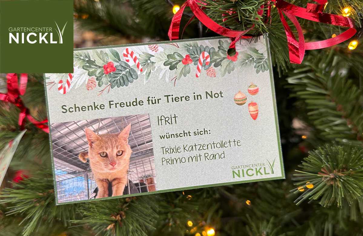 Wunschbaumaktion für das Tierheim Rosenheim