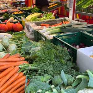 Gemüse vom Grünen Markt am Ludwigsplatz_03