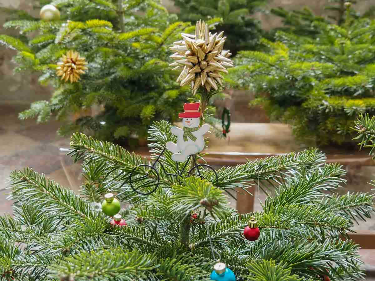 christbaumschmuecken-wirtschaftlicher-verband-credit-stadttipps-14