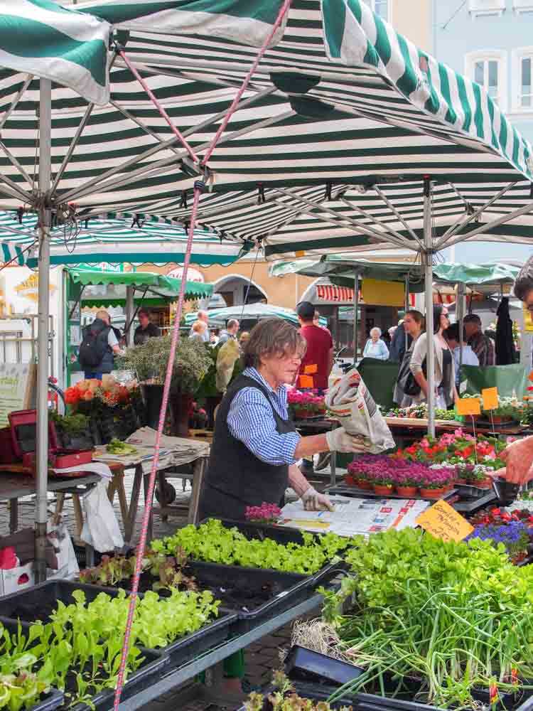 Grüner Markt am Ludwigplatz