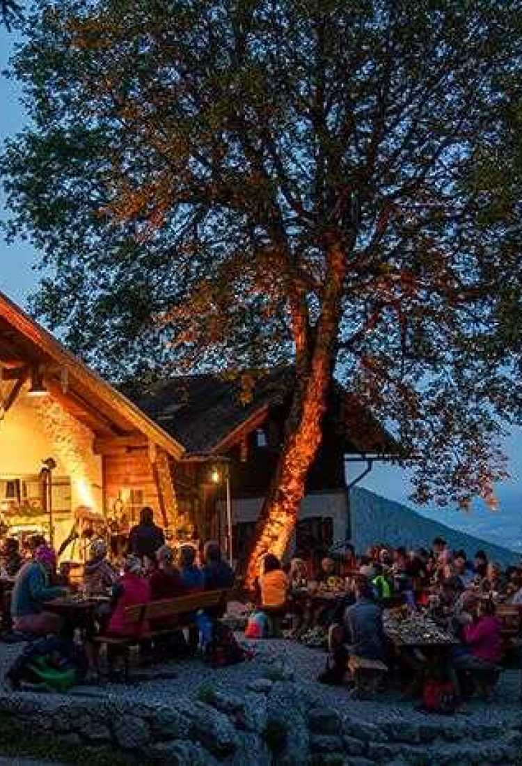 Konzert(e) in den Bergen verschenken: Ticket für Almrausch Festival