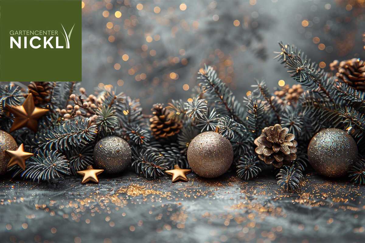 Adventszauber mit Eröffnung der Adventsausstellung im Gartencenter Nickl Kolbermoor