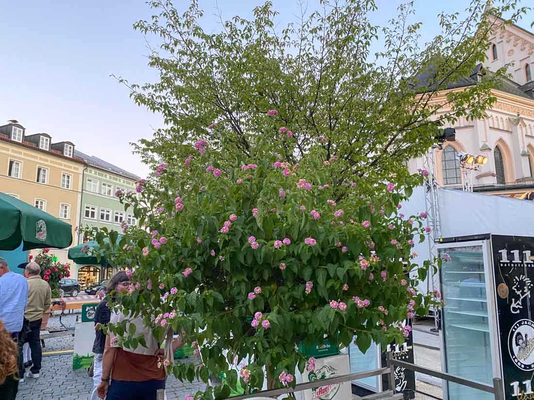 stadtspiel_versoehnliches_ende_copyright_stadttipps_rosenheim_50